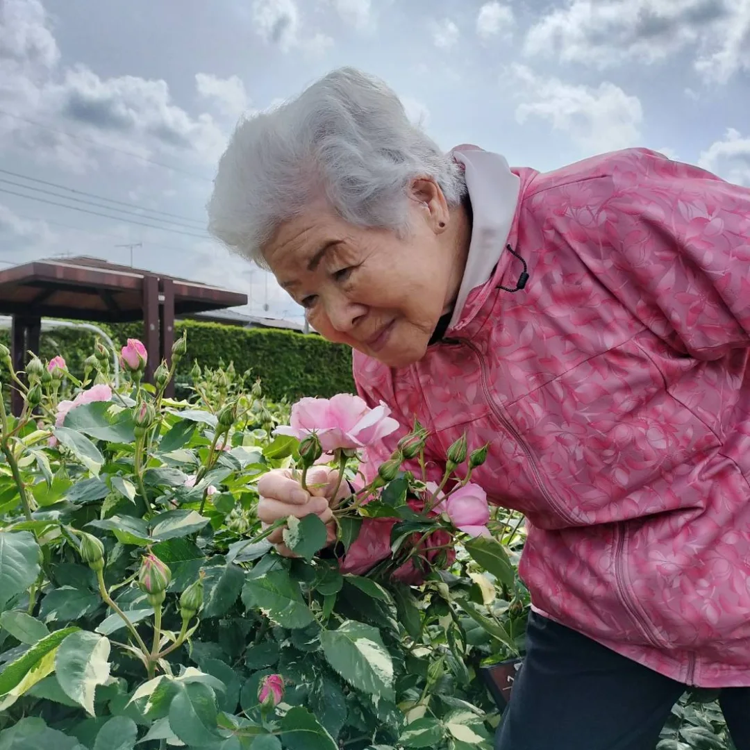 活動の様子